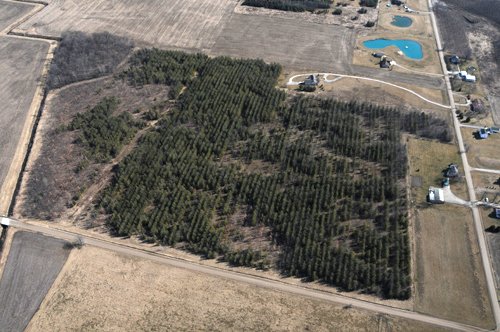 Property photo 45 - 247+/- Acres Offered in 8 Tracts
