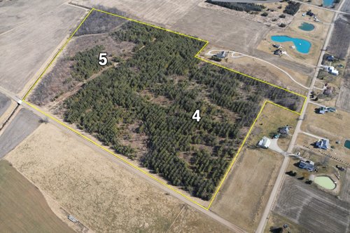 Property photo 23 - 247+/- Acres Offered in 8 Tracts