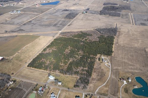 Property photo 7 - 247+/- Acres Offered in 8 Tracts