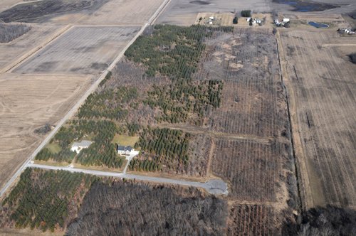 Property photo 6 - 247+/- Acres Offered in 8 Tracts