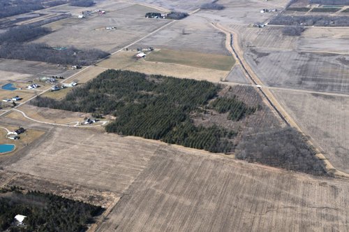 Property photo 61 - 247+/- Acres Offered in 8 Tracts