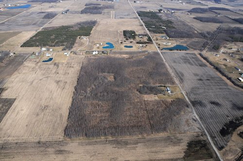 Property photo 55 - 247+/- Acres Offered in 8 Tracts