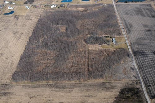 Property photo 2 - 247+/- Acres Offered in 8 Tracts