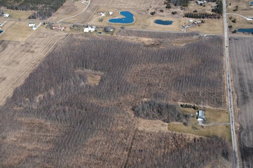 Property photo 63 - 247+/- Acres Offered in 8 Tracts