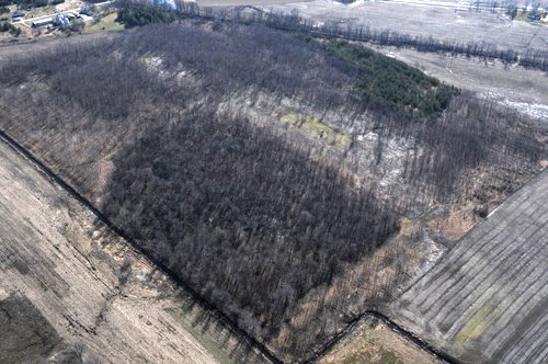 Property photo 17 - 247+/- Acres Offered in 8 Tracts