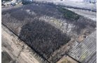 Property photo 17 - 247+/- Acres Offered in 8 Tracts