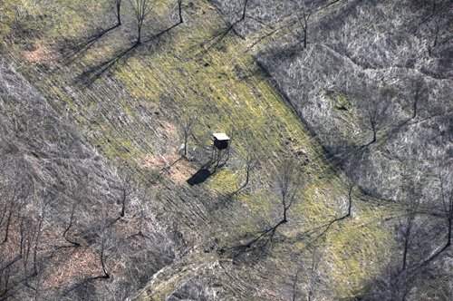 Property photo 56 - 247+/- Acres Offered in 8 Tracts