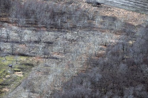 Property photo 5 - 247+/- Acres Offered in 8 Tracts