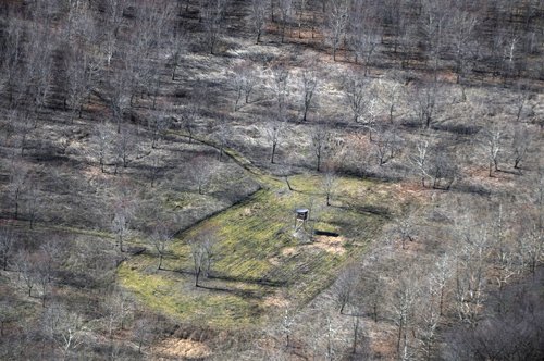 Property photo 25 - 247+/- Acres Offered in 8 Tracts