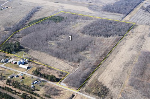 Property photo 36 - 247+/- Acres Offered in 8 Tracts