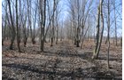 Property photo 30 - 247+/- Acres Offered in 8 Tracts