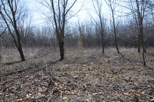 Property photo 44 - 247+/- Acres Offered in 8 Tracts
