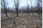 Property photo 44 - 247+/- Acres Offered in 8 Tracts