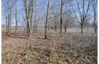 Property photo 8 - 247+/- Acres Offered in 8 Tracts