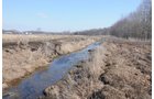 Property photo 62 - 247+/- Acres Offered in 8 Tracts