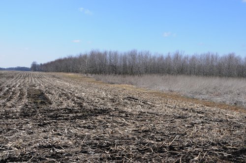 Property photo 41 - 247+/- Acres Offered in 8 Tracts