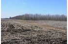 Property photo 41 - 247+/- Acres Offered in 8 Tracts