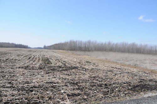 Property photo 50 - 247+/- Acres Offered in 8 Tracts