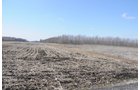 Property photo 50 - 247+/- Acres Offered in 8 Tracts