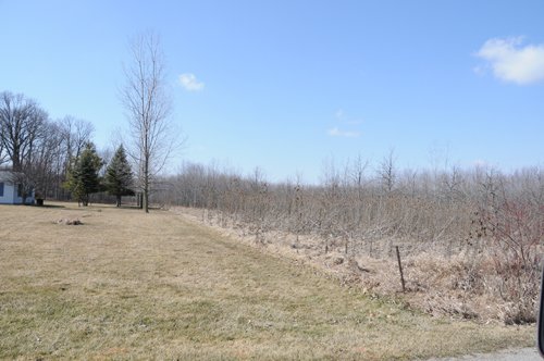 Property photo 43 - 247+/- Acres Offered in 8 Tracts