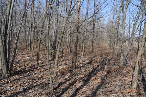 Property photo 39 - 247+/- Acres Offered in 8 Tracts