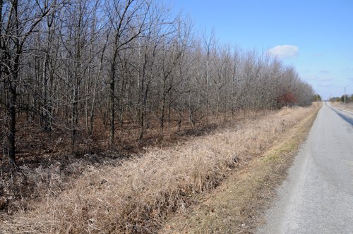 Property photo 29 - 247+/- Acres Offered in 8 Tracts