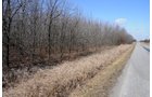 Property photo 29 - 247+/- Acres Offered in 8 Tracts