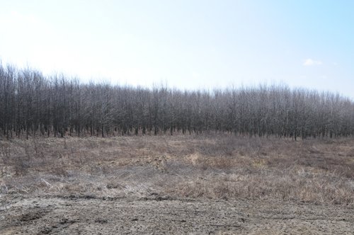Property photo 1 - 247+/- Acres Offered in 8 Tracts