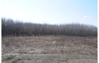 Property photo 1 - 247+/- Acres Offered in 8 Tracts