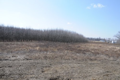 Property photo 21 - 247+/- Acres Offered in 8 Tracts
