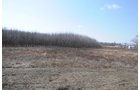Property photo 21 - 247+/- Acres Offered in 8 Tracts
