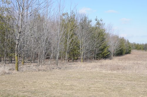 Property photo 37 - 247+/- Acres Offered in 8 Tracts