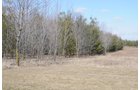 Property photo 37 - 247+/- Acres Offered in 8 Tracts