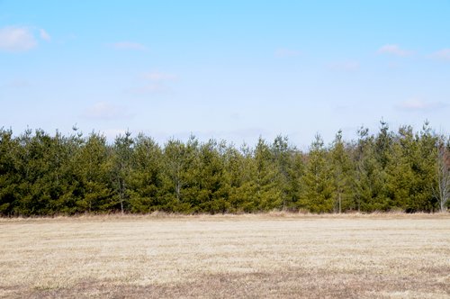 Property photo 22 - 247+/- Acres Offered in 8 Tracts