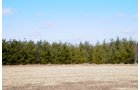Property photo 22 - 247+/- Acres Offered in 8 Tracts