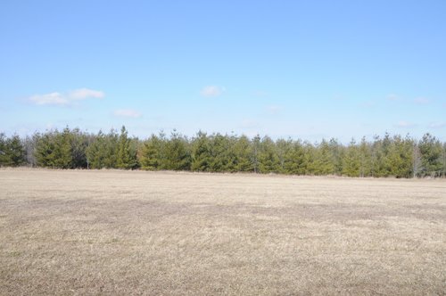 Property photo 42 - 247+/- Acres Offered in 8 Tracts