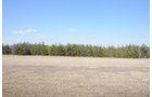 Property photo 42 - 247+/- Acres Offered in 8 Tracts