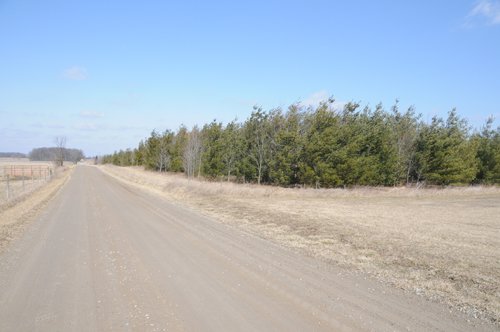Property photo 52 - 247+/- Acres Offered in 8 Tracts