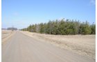 Property photo 52 - 247+/- Acres Offered in 8 Tracts