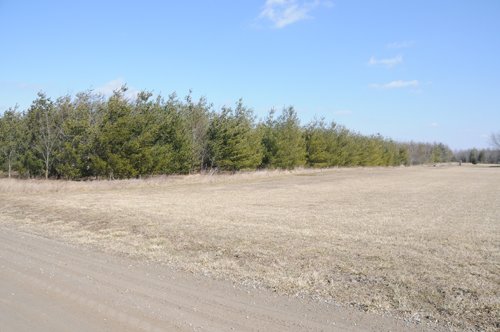 Property photo 48 - 247+/- Acres Offered in 8 Tracts