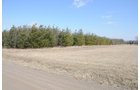 Property photo 48 - 247+/- Acres Offered in 8 Tracts