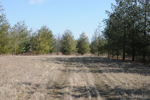 Property photo 3 - 247+/- Acres Offered in 8 Tracts