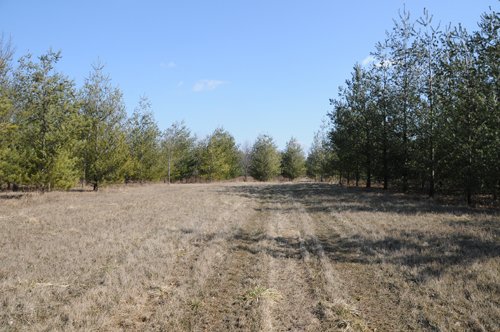 Property photo 15 - 247+/- Acres Offered in 8 Tracts