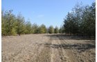 Property photo 15 - 247+/- Acres Offered in 8 Tracts
