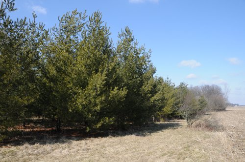 Property photo 28 - 247+/- Acres Offered in 8 Tracts