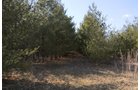 Property photo 27 - 247+/- Acres Offered in 8 Tracts