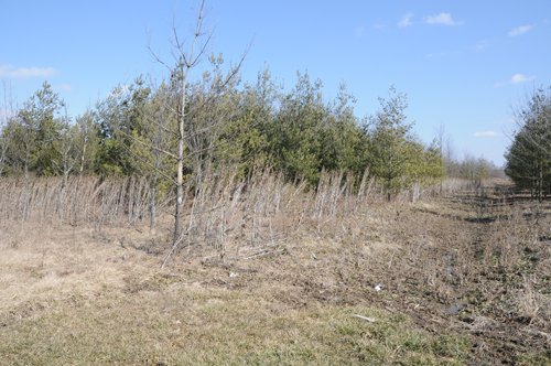 Property photo 59 - 247+/- Acres Offered in 8 Tracts