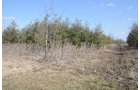 Property photo 59 - 247+/- Acres Offered in 8 Tracts