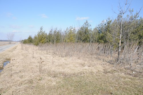 Property photo 24 - 247+/- Acres Offered in 8 Tracts