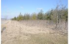 Property photo 24 - 247+/- Acres Offered in 8 Tracts